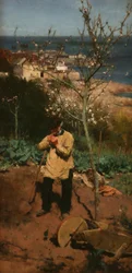 The Sunny South, 1885